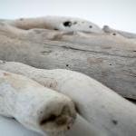 Driftwood Sun B..